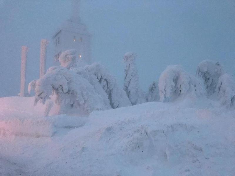 Fewo-Michi Oberwiesenthal Exterior foto